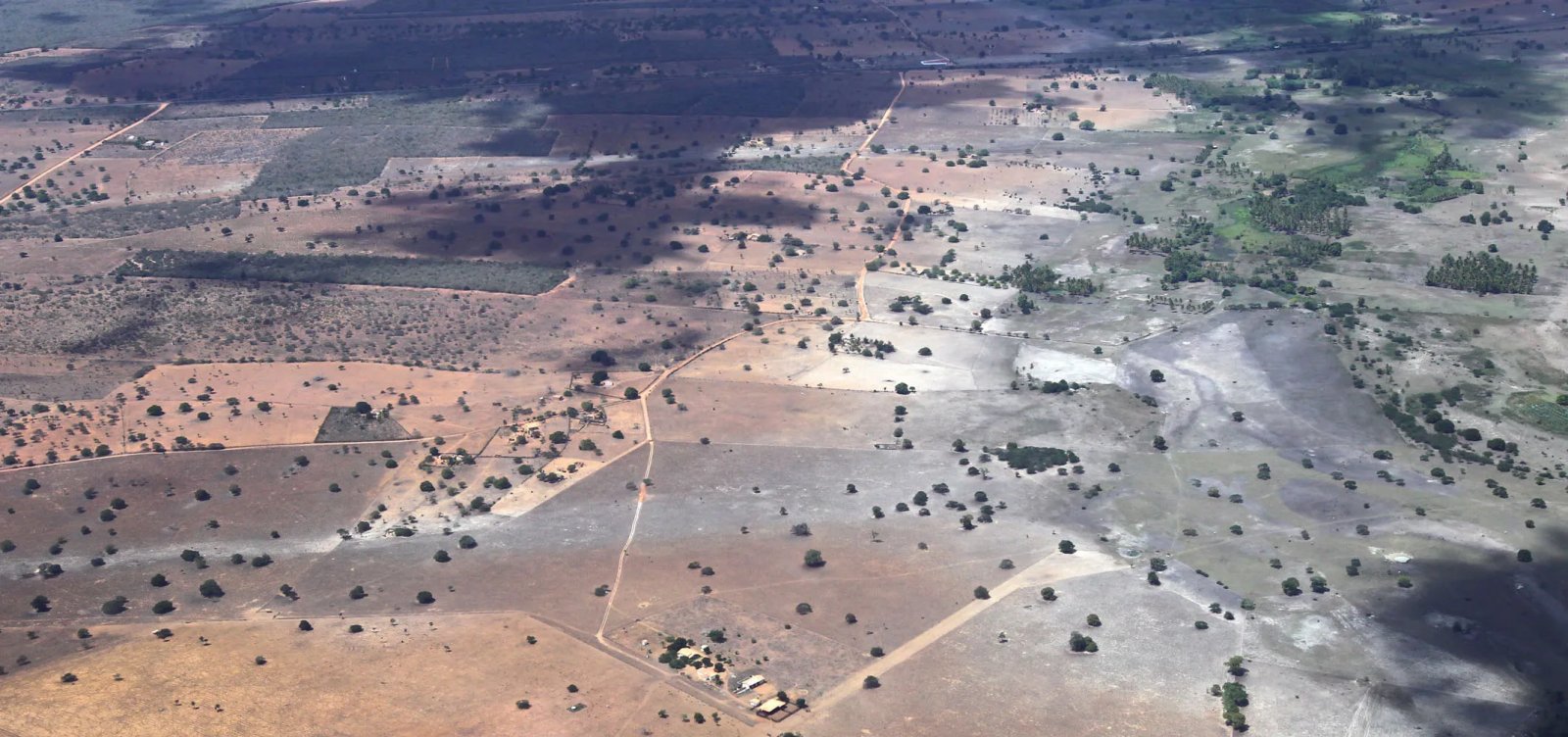 seca-devastadora-na-bahia:-impacto-profundo-nas-comunidades-e-agricultura
