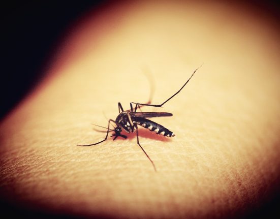 aumenta-preocupacao-com-quadros-graves-de-dengue-no-brasil
