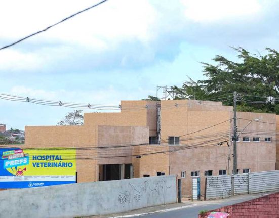 obras-no-hospital-municipal-veterinario-de-salvador-entram-na-reta-final-de-conclusao