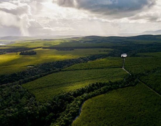 forum-florestal-da-bahia-atualiza-a-plataforma-de-monitoramento-de-uso-e-cobertura-do-solo