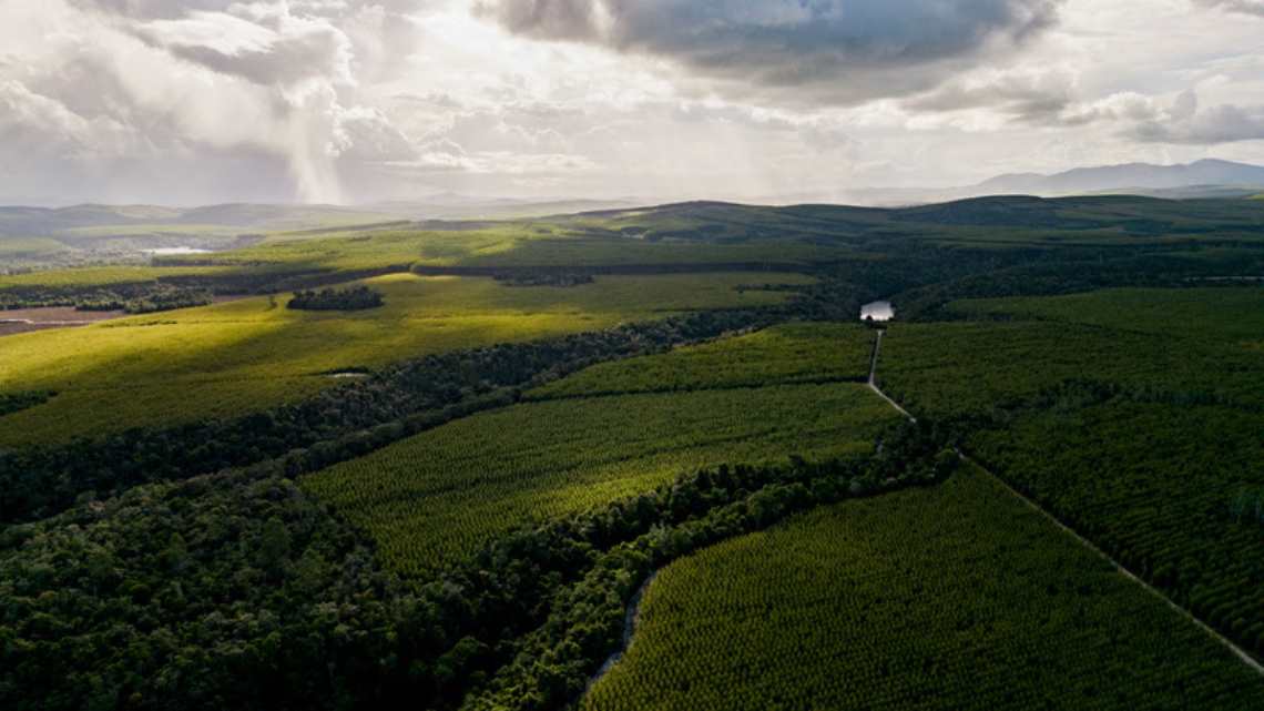forum-florestal-da-bahia-atualiza-a-plataforma-de-monitoramento-de-uso-e-cobertura-do-solo