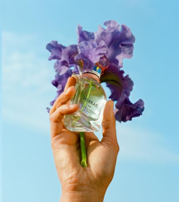 l’occitane-en-provence-lanca-edicao-limitada-herbae-par-l’occitane-iris-para-o-dia-das-maes